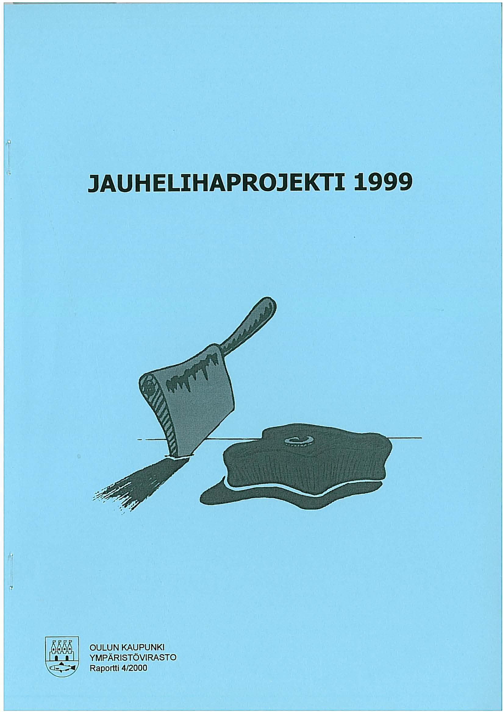 J~UtlELIHAPROJEK'F1 1999 " OULUN