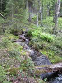 92 Kuva 7-43. Metsälakikohteita. Kalliot /kivikko Palonenäkkeenvaaralla (vasen), puron varsi Kuovitunturin rinteessä (oikea).