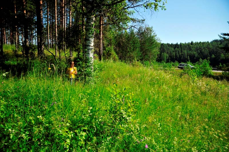 Polvijärvi Paskalampi 2. Piritta Häkälä seisoo tervahaudassa.