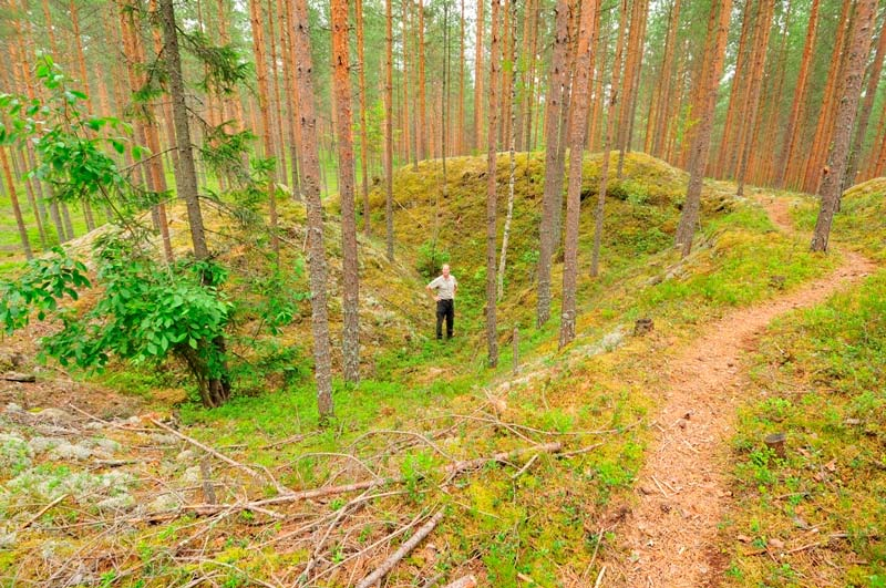 25 Polvijärvi Lahnasuo 2. (DG1929:1). Taisteluhautaa Joensuuntien länsipuolella. Kuvattu lännestä, kuvaaja Vesa Laulumaa.