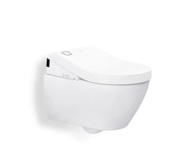 Care-WC, Hygienic Flush, pidennetty malli, seinäkiinnitys WC-istuin, ilman istuinkantta Care-istuinkansi, rst-saranat, sivuttaisliikkeen estävät tukipalat, päällikannessa hygieeninen otelevennys