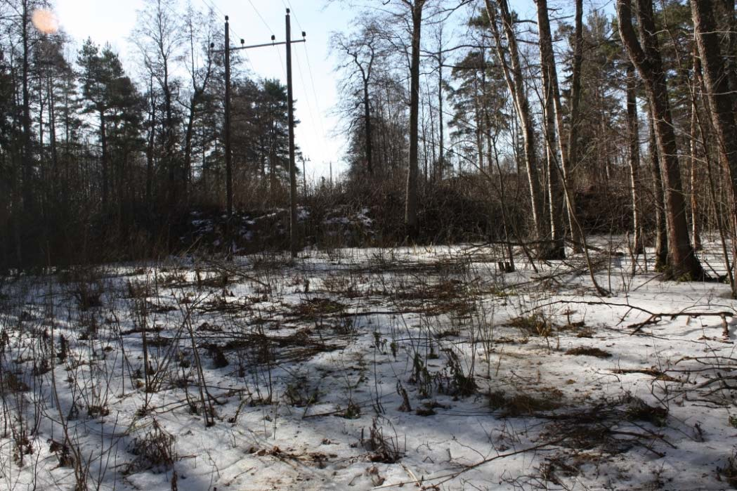 4. Arkeologinen valvonta 4.