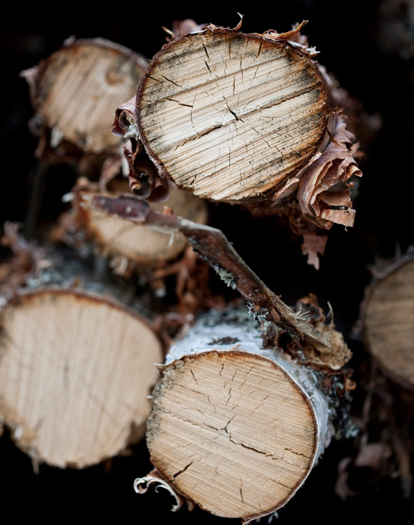 Metsävero-opas 2017 sivu 16 Sukupolvenvaihdos tilaa pirstomatta Tilan siirtyminen eläkeikää lähestyvälle perilliselle on tuttu tilanne metsätilojen sukupolvenvaihdoksissa.