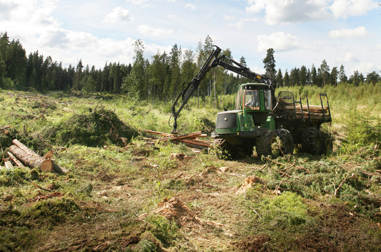 Metsävero-opas 2017 sivu 20 Metsätilan myynti lähisuvun ulkopuolelle ANNA ULYANOVA Metsätilan myynti on monivaiheinen tapahtuma.