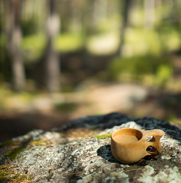 Metsävero-opas 2017 sivu 4 Tiivistetty täyttöohje ROOPE PERMANTO Veroilmoituksen täyttö Merkittävä osa metsänomistajista selviää metsätalouden veroilmoituksen täytöstä varsin vähällä vaivalla.