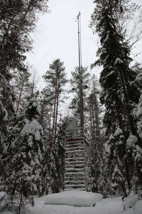 Lettosuo rehevä ojitettu suo (MtkgII) 1. vuoden alustava arvio: hiilen lähde n. 200 g CO 2 m -2 a -1 Puustobiomassan kasvu 1300 CO 2 m -2 a -1 Maa hiilen lähde: n.