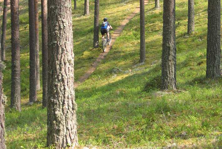 ISMTBOM 2010 - viides kuvausohje 11 vuoden aikana - neljä virallista (2000, 2002, 2004, 2010) ja yksi