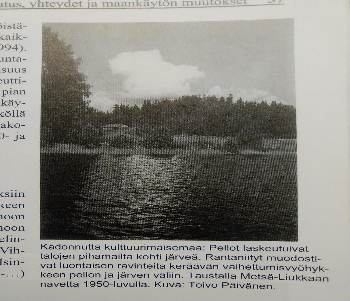 Alla olevasta kuvasta näkee, miten Metsä-Liukkaan tilan pihapiiri laskeutuu kohti rantaa.
