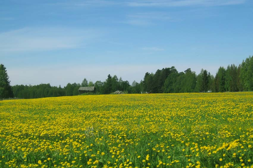 POHJOIS-POHJANMAAN SAIRAANHOITOPIIRI Tammi-toukokuu 5/ Saapuneet lähetteet Avohoitokäynnit Hoitopäivät Leikkausta, toimenpidettä