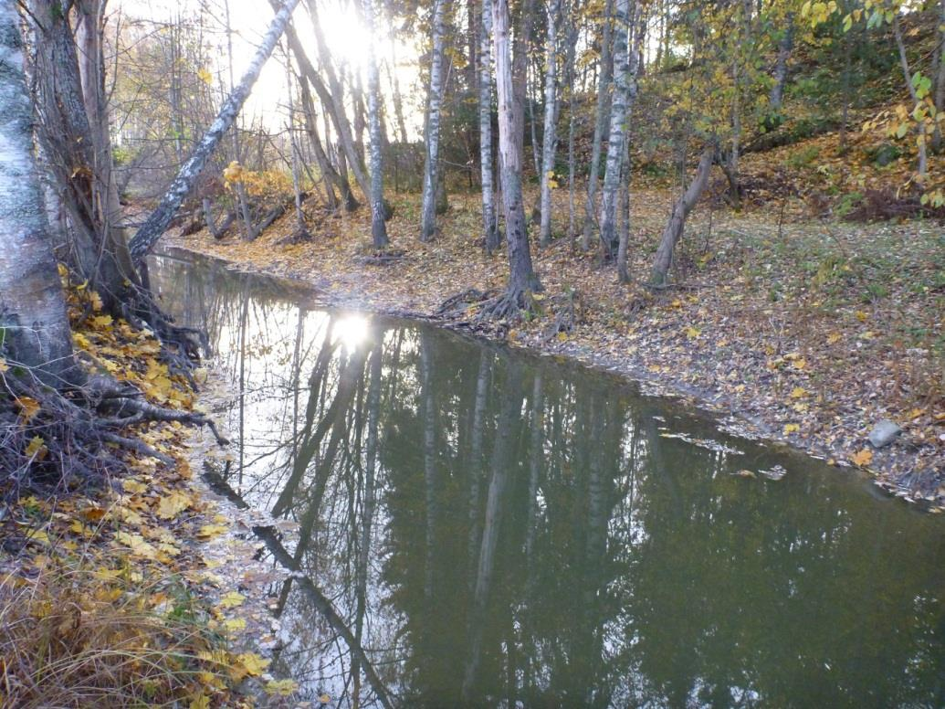 5 Mankinjoki oli tarkoitus sähkökoekalastaa myös Solhemista ylävirtaan Lillgussista lähempää Loojärveä.