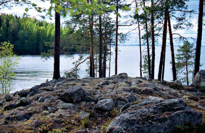 Lapinraunio Vähä Paatsalon saaressa Lapp cairn on the island Vähä Paatsalo SYSMÄN MUINAISJÄÄNNÖSKOHTEITA LAPINRAUNIOITA Useimmat Sysmän lapinraunioista sijaitsevat saarissa.