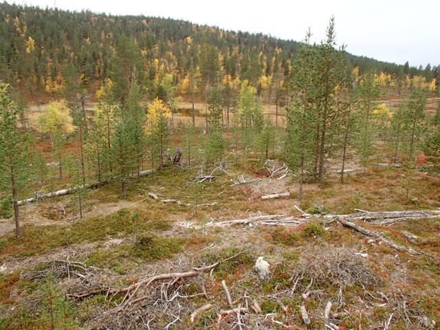 19 Viranomaisrekisterinro: 148010796 Kunto: 1 Hyvä Olotila: Arvotus: 3 Esitys mj-luokka II Kohteen 2 Ei käytössä 2 Muinaisjäännösrekisteri II