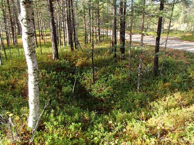 49 Kuvaus: KMO kulttuuriperintöinventointi Viranomaisrekisterinro: Kunto: Olotila: Arvotus: 99 Ei