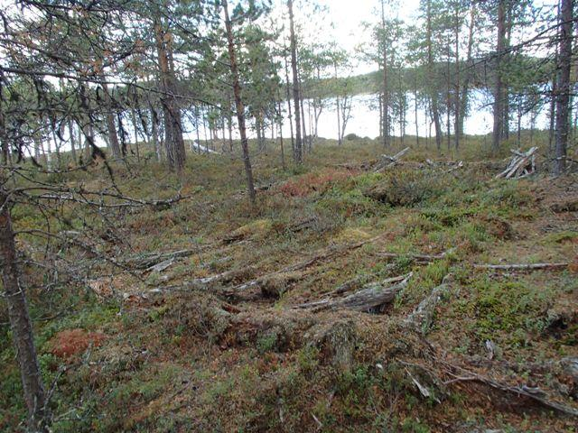 72 Viranomaisrekisterinro: Kunto: Olotila: Arvotus: 8 Muu suojeluarvo Kohteen 3 Huono 2 Ei käytössä 9 Muu suojeluarvo