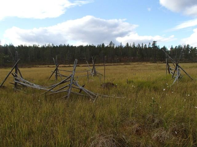 78 Tarkastukset Tila: 3 Toteutettu Laji: 6 Suojeluarvojen tarkastus Tarkastusvuosi: 2013 Tarkastuspvm: 29.8.2013 Tarkastaja: J.-P.