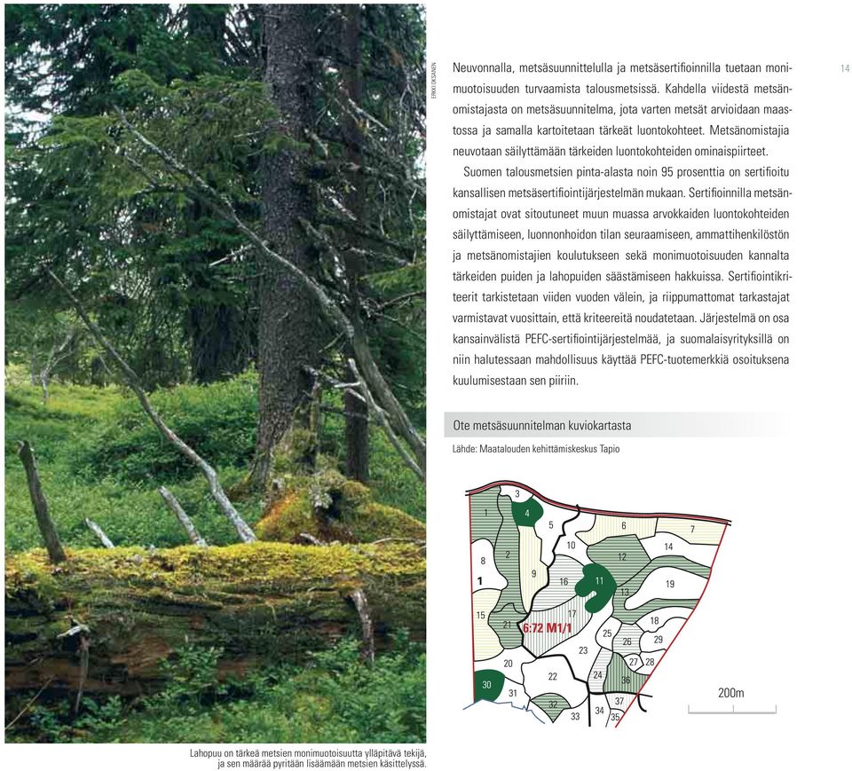 Metsänomistajia neuvotaan säilyttämään tärkeiden luontokohteiden ominaispiirteet. Suomen talousmetsien pinta-alasta noin 95 prosenttia on sertifioitu kansallisen metsäsertifiointijärjestelmän mukaan.