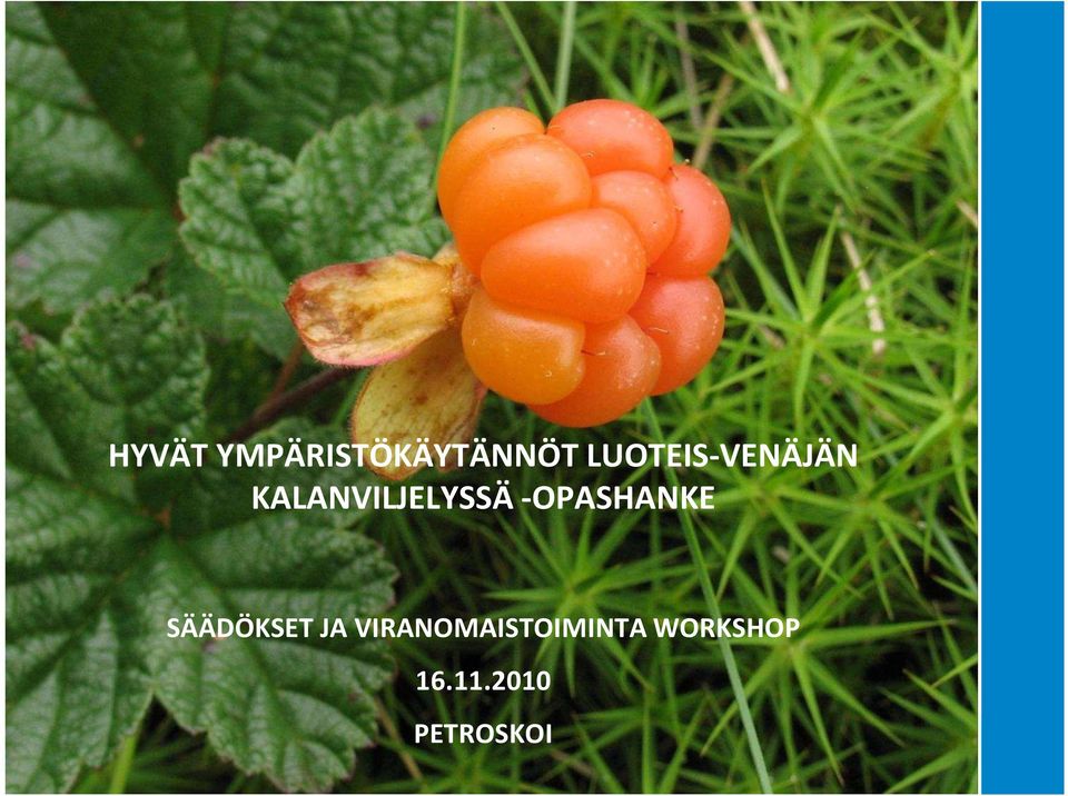 -OPASHANKE SÄÄDÖKSET JA