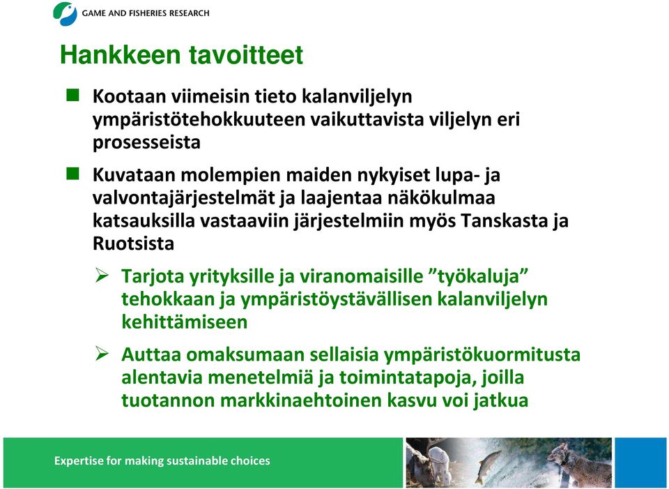 Tanskasta ja Ruotsista Tarjota yrityksille ja viranomaisille työkaluja tehokkaan ja ympäristöystävällisen kalanviljelyn