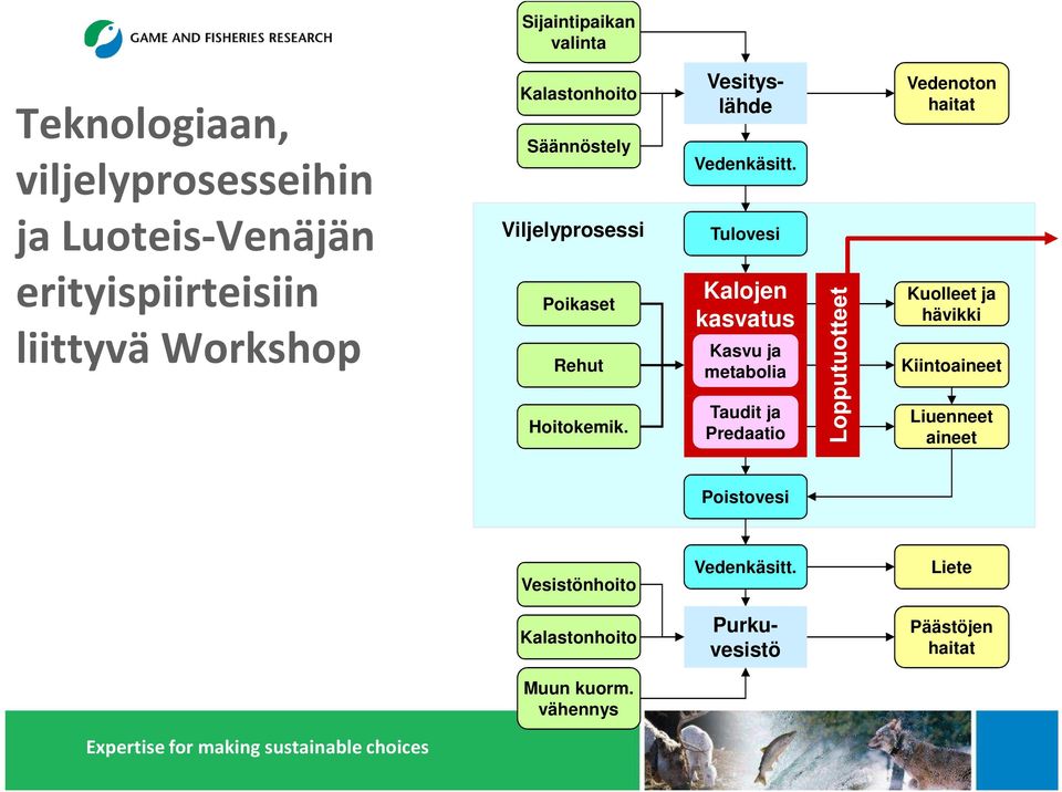 Tulovesi Kalojen kasvatus Kasvu ja metabolia Vedenoton haitat Kuolleet ja hävikki Kiintoaineet Hoitokemik.