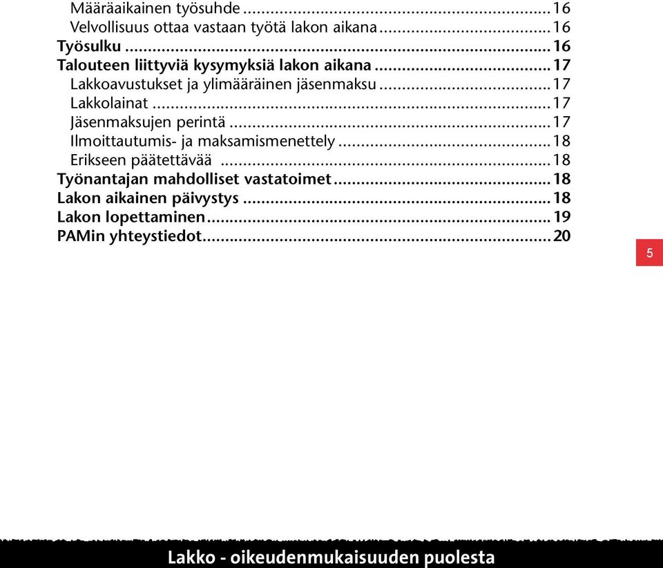 ..17 Jäsenmaksujen perintä...17 Ilmoittautumis- ja maksamismenettely...18 Erikseen päätettävää.