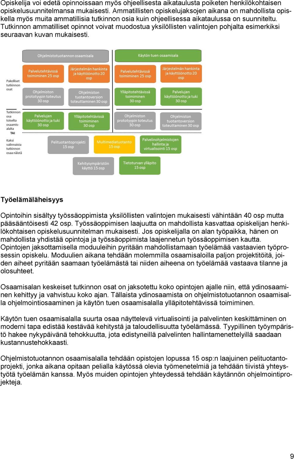 Tutkinnon ammatilliset opinnot voivat muodostua yksilöllisten valintojen pohjalta esimerkiksi seuraavan kuvan mukaisesti.