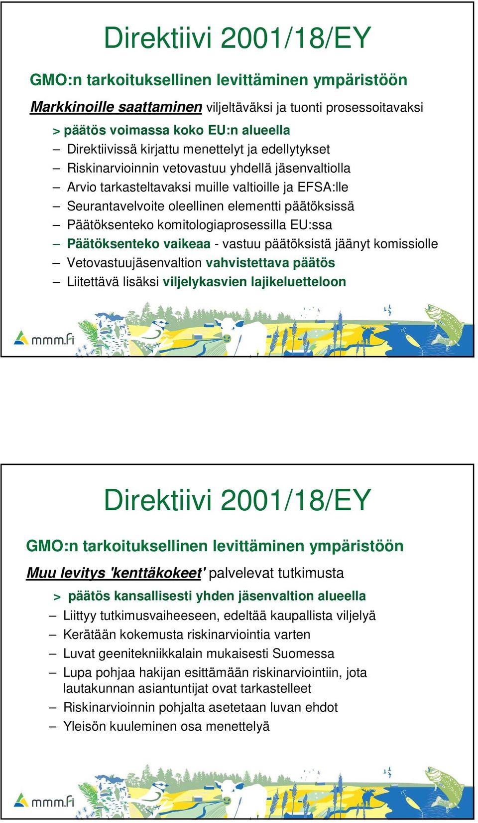 komitologiaprosessilla EU:ssa Päätöksenteko vaikeaa - vastuu päätöksistä jäänyt komissiolle Vetovastuujäsenvaltion vahvistettava päätös Liitettävä lisäksi viljelykasvien lajikeluetteloon Direktiivi