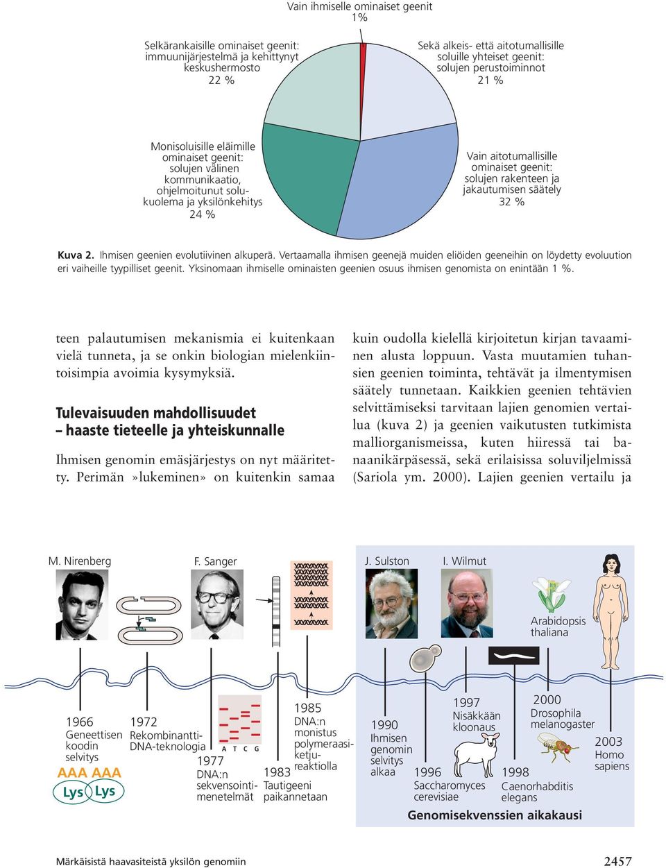 rakenteen ja jakautumisen säätely 32 % Kuva 2. Ihmisen geenien evolutiivinen alkuperä. Vertaamalla ihmisen geenejä muiden eliöiden geeneihin on löydetty evoluution eri vaiheille tyypilliset geenit.