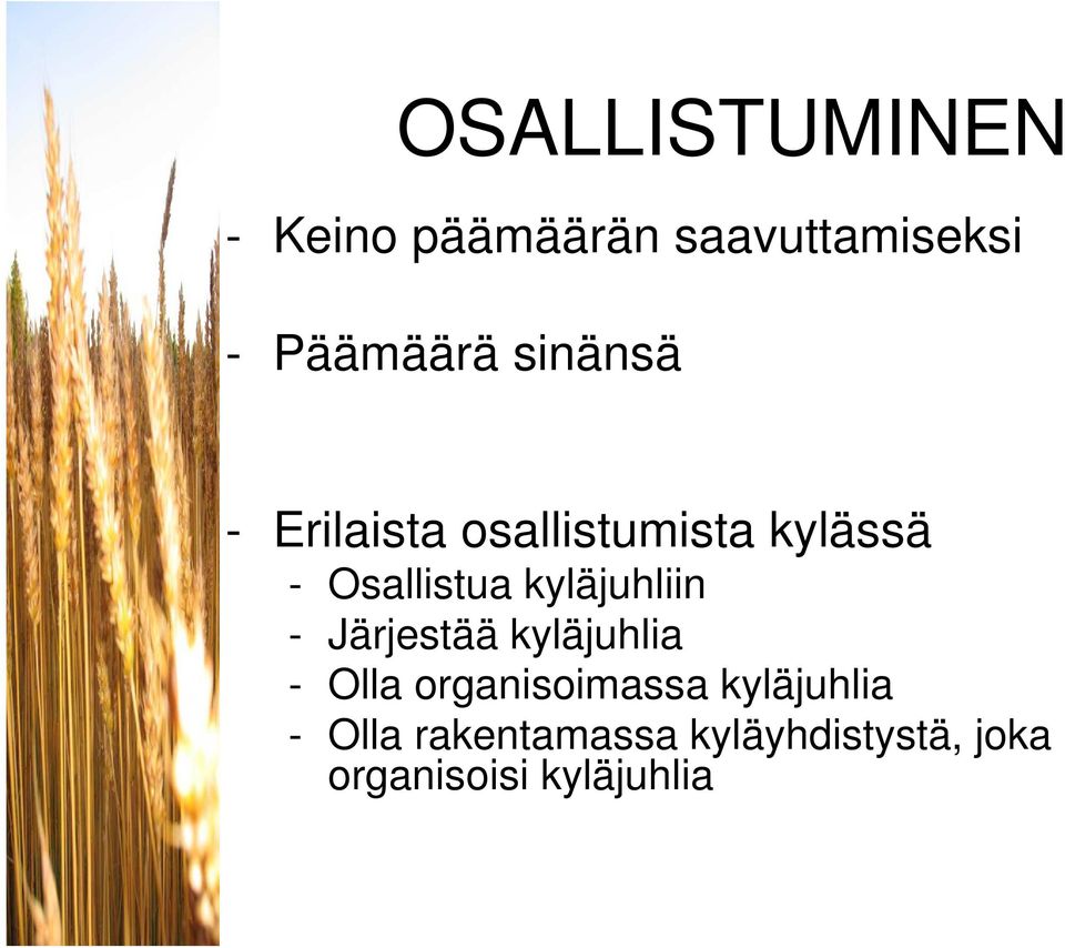 kyläjuhliin - Järjestää kyläjuhlia - Olla organisoimassa