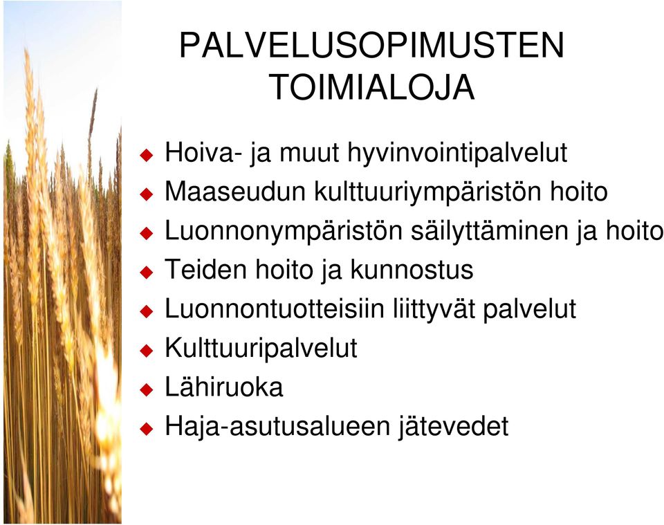 säilyttäminen ja hoito Teiden hoito ja kunnostus