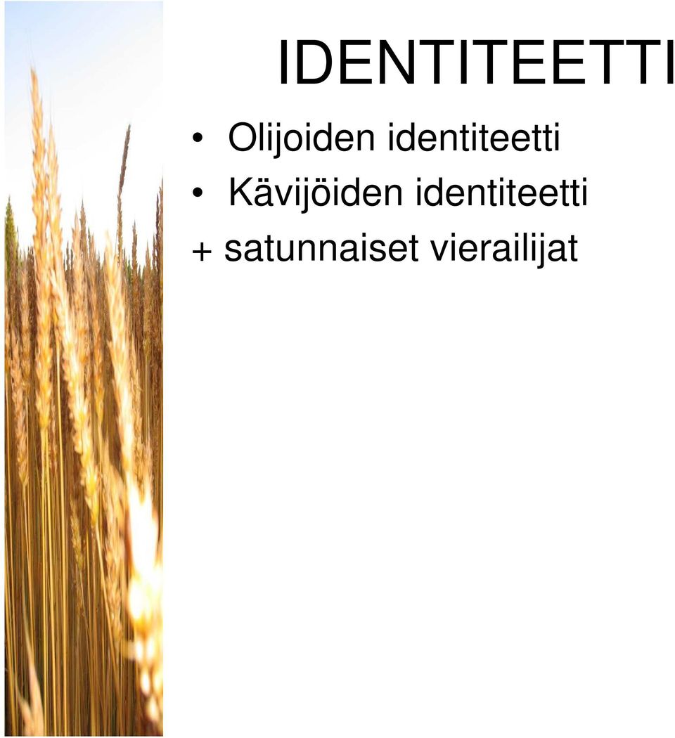 identiteetti