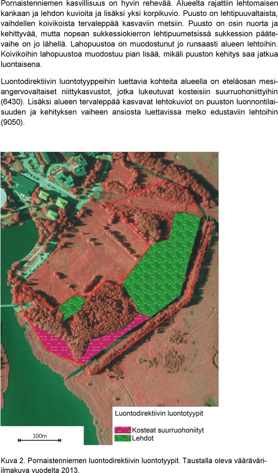 Puusto on osin nuorta ja kehittyvää, mutta nopean sukkessiokierron lehtipuumetsissä sukkession päätevaihe on jo lähellä. Lahopuustoa on muodostunut jo runsaasti alueen lehtoihin.