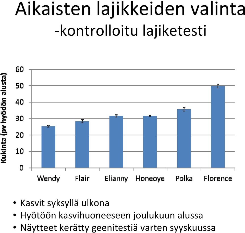 ulkona Hyötöön kasvihuoneeseen joulukuun