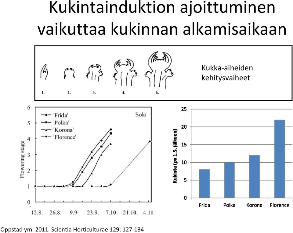 Kukka aiheiden kehitysvaiheet