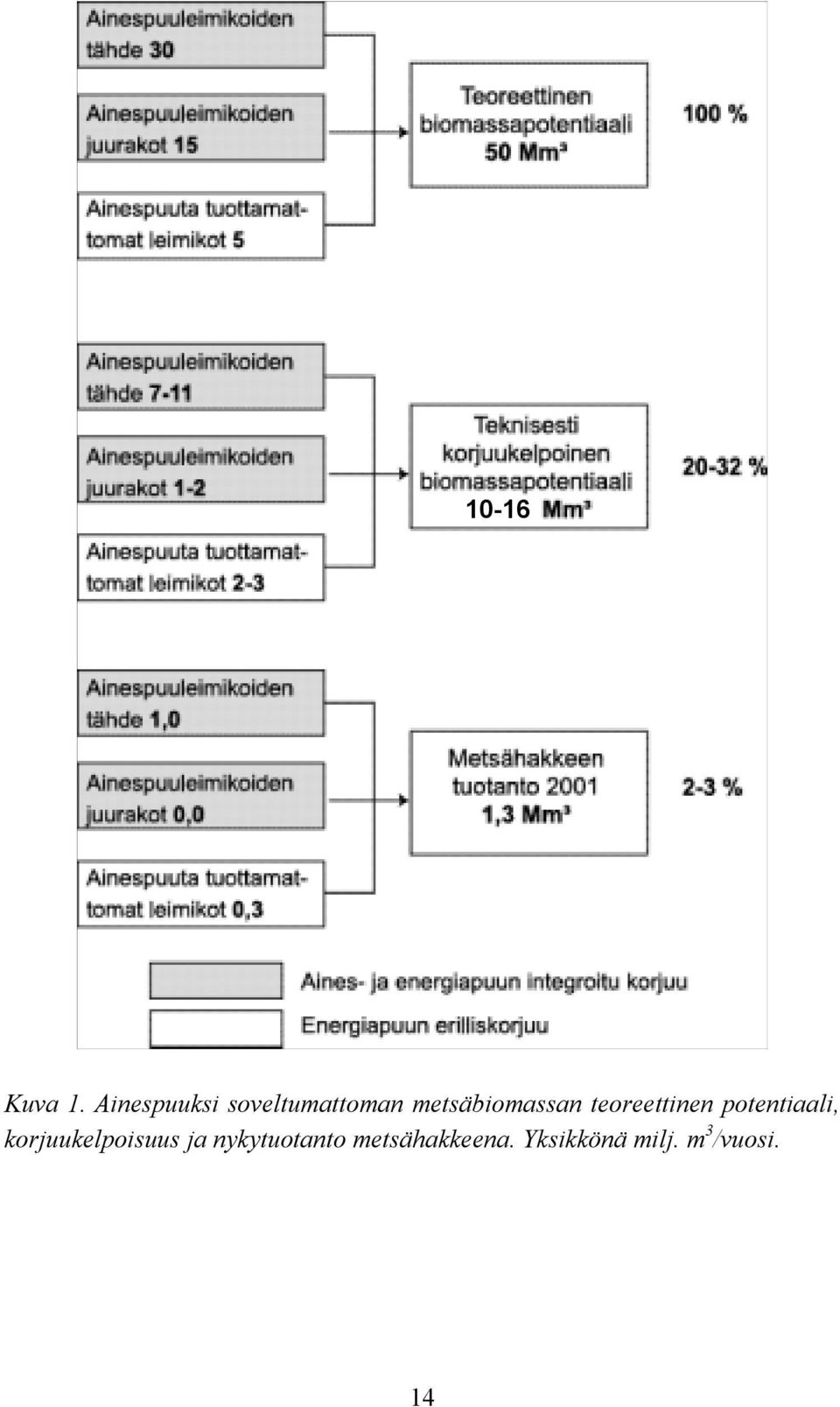 metsäbiomassan teoreettinen potentiaali,