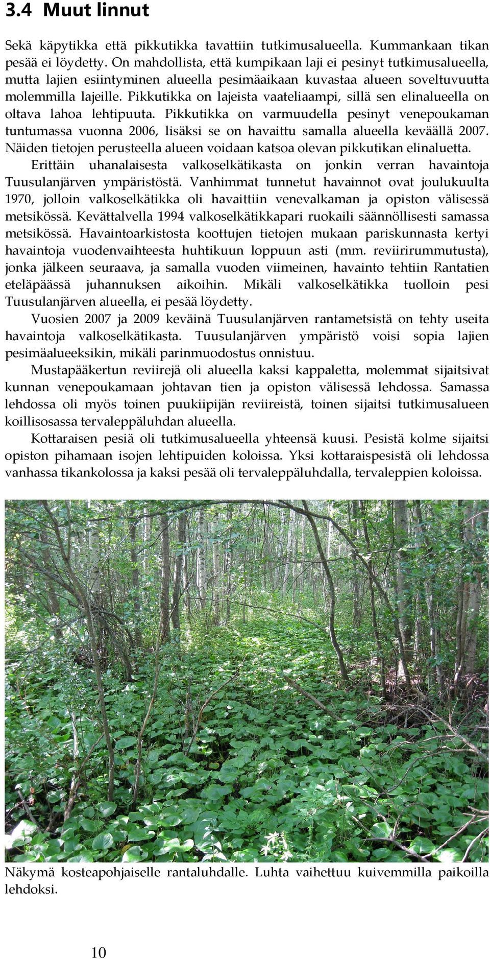 Pikkutikka on lajeista vaateliaampi, sillä sen elinalueella on oltava lahoa lehtipuuta.