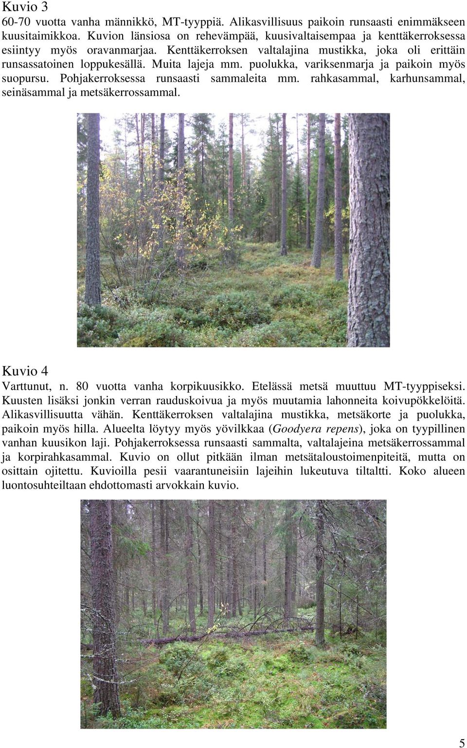 puolukka, variksenmarja ja paikoin myös suopursu. Pohjakerroksessa runsaasti sammaleita mm. rahkasammal, karhunsammal, seinäsammal ja metsäkerrossammal. Kuvio 4 Varttunut, n.