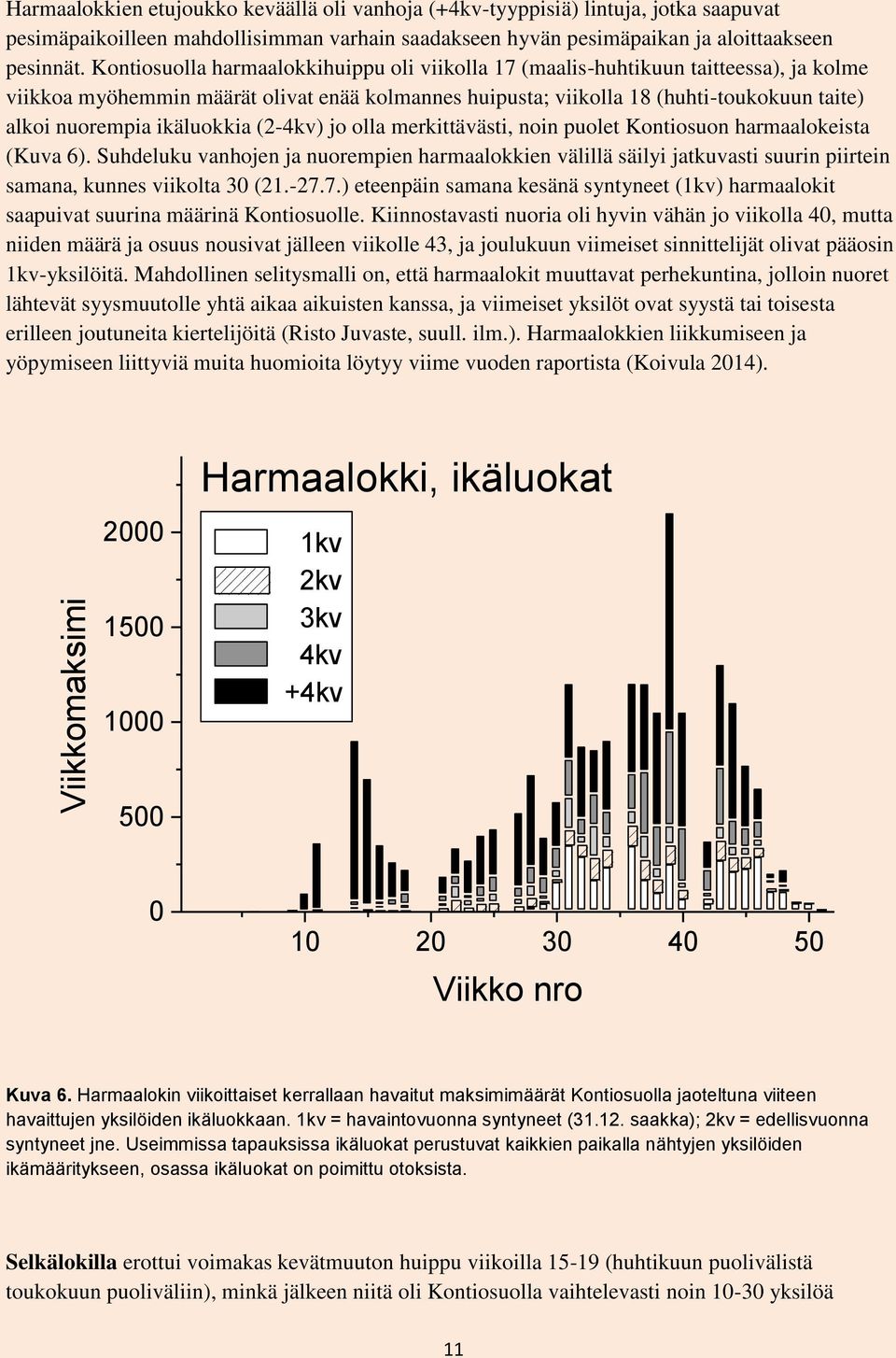 ikäluokkia (2-4kv) jo olla merkittävästi, noin puolet Kontiosuon harmaalokeista (Kuva 6).