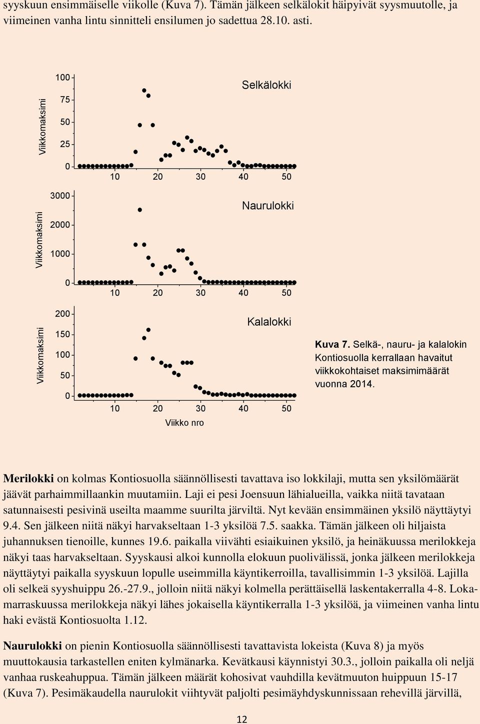 Selkä-, nauru- ja kalalokin Kontiosuolla kerrallaan havaitut viikkokohtaiset maksimimäärät vuonna 2014.