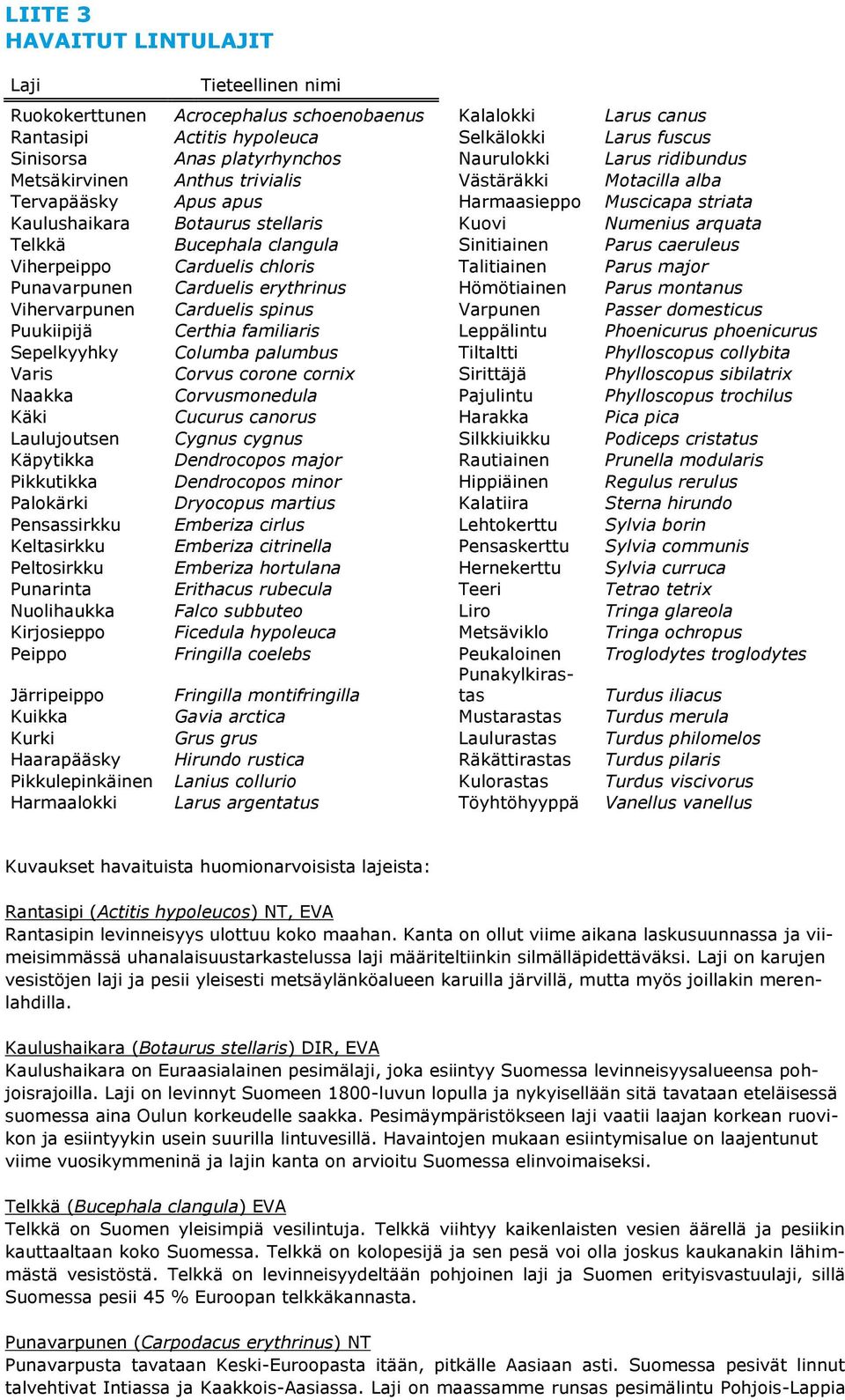 Telkkä Bucephala clangula Sinitiainen Parus caeruleus Viherpeippo Carduelis chloris Talitiainen Parus major Punavarpunen Carduelis erythrinus Hömötiainen Parus montanus Vihervarpunen Carduelis spinus