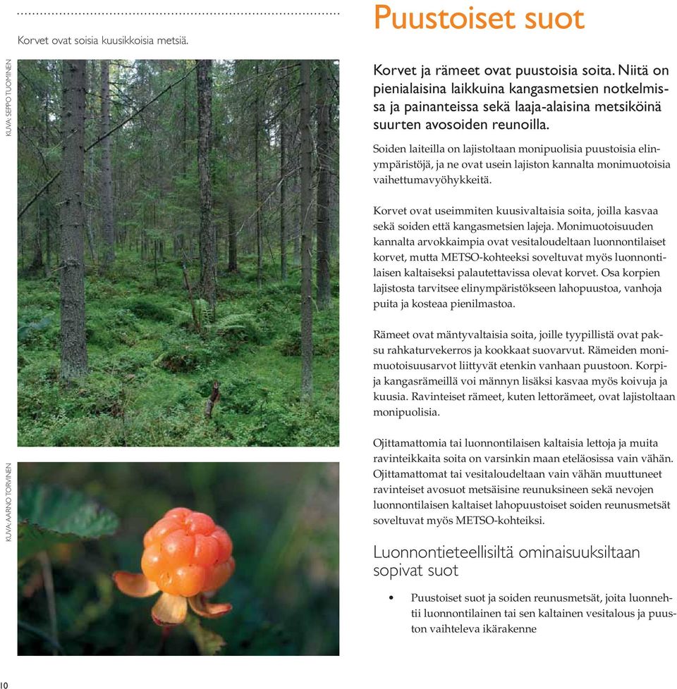 Soiden laiteilla on lajistoltaan monipuolisia puustoisia elinympäristöjä, ja ne ovat usein lajiston kannalta monimuotoisia vaihettumavyöhykkeitä.