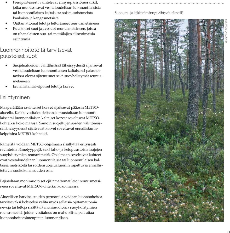 puustoiset suot Suojelualueiden välittömässä läheisyydessä sijaitsevat vesitaloudeltaan luonnontilaisen kaltaiseksi palautettavissa olevat ojitetut suot sekä suoyhdistymät reunusmetsineen