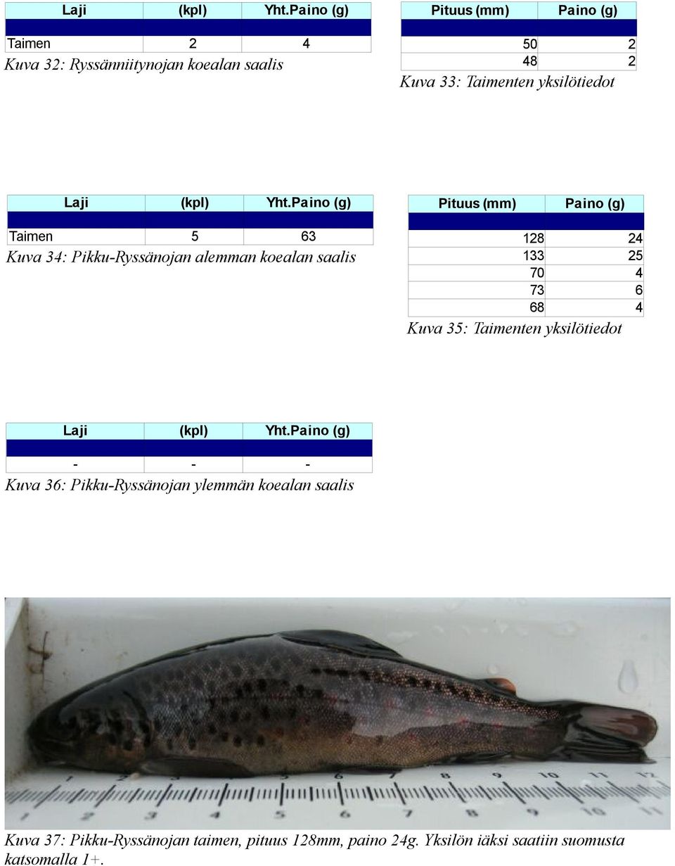 (g) 8 33 70 73 68 Kuva 35: Taimenten yksilötiedot Kuva 36: PikkuRyssänojan ylemmän koealan