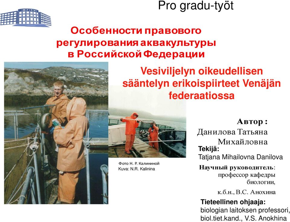 Kalinina Автор : Данилова Татьяна Михайловна Tekijä: Tatjana Mihailovna Danilova Научный руководитель: