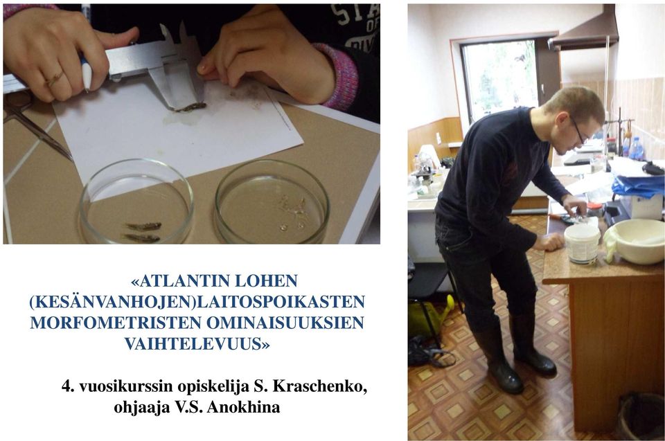 MORFOMETRISTEN OMINAISUUKSIEN