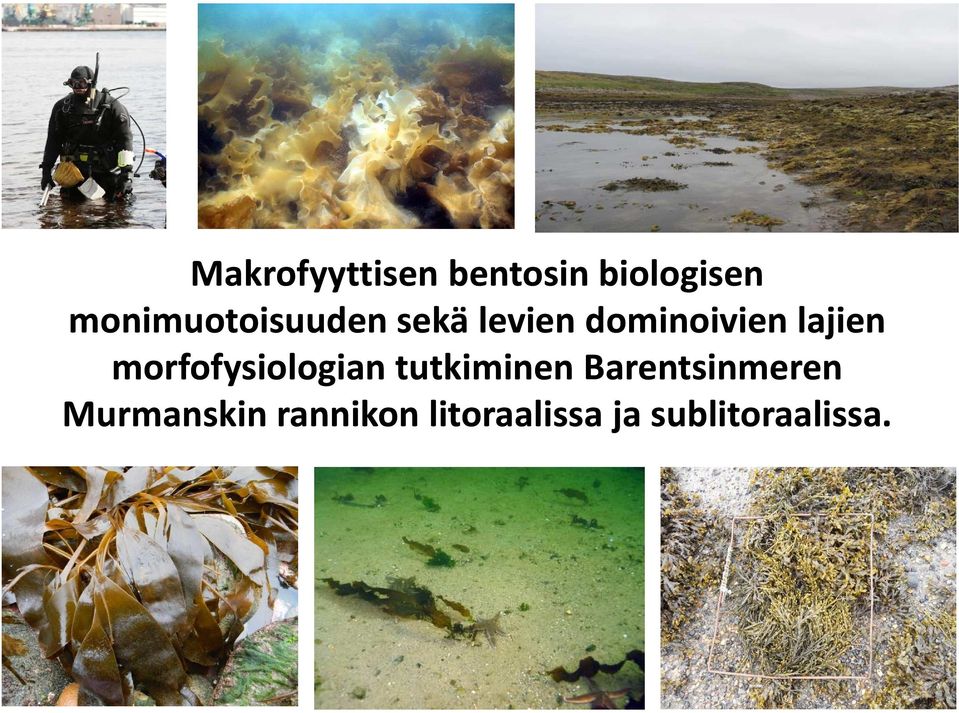 lajien morfofysiologian tutkiminen