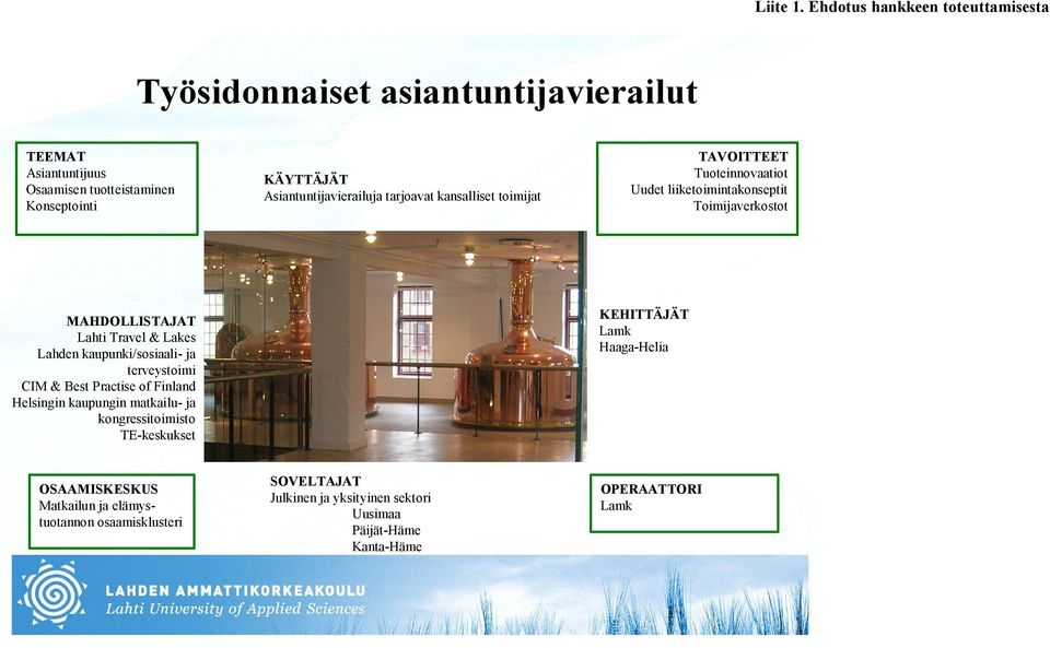 Asiantuntijavierailuja tarjoavat kansalliset toimijat TAVOITTEET Tuoteinnovaatiot Uudet liiketoimintakonseptit Toimijaverkostot MAHDOLLISTAJAT Lahti Travel