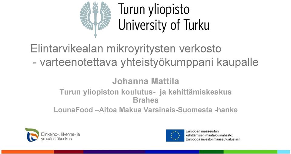 Johanna Mattila Turun yliopiston koulutus ja