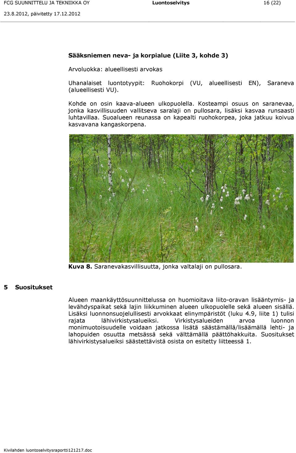 Suoalueen reunassa on kapealti ruohokorpea, joka jatkuu koivua kasvavana kangaskorpena. Kuva 8. Saranevakasvillisuutta, jonka valtalaji on pullosara.