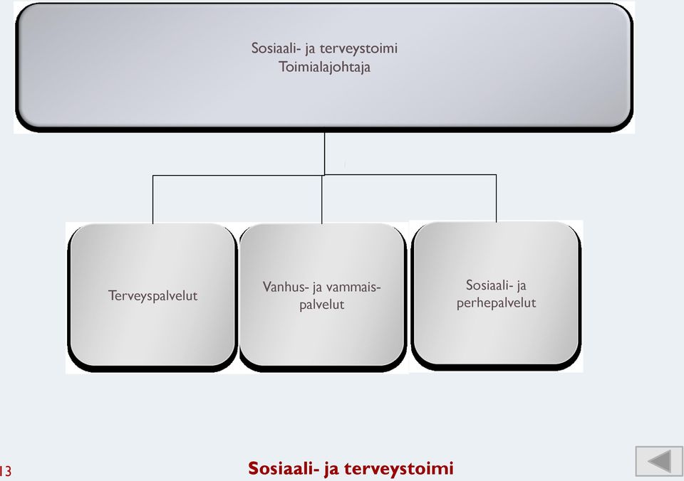 Vanhus- ja vammaispalvelut