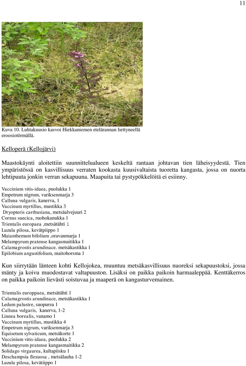 Vaccinium vitis-idaea, puolukka 1 Empetrum nigrum, variksenmarja 3 Calluna vulgaris, kanerva, 1 Vaccinum myrtillus, mustikka 3 Dryopteris carthusiana, metsäalvejuuri 2 Cornus suecica, ruohokanukka 1